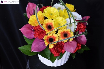 沖縄で開店祝いのお花の花屋