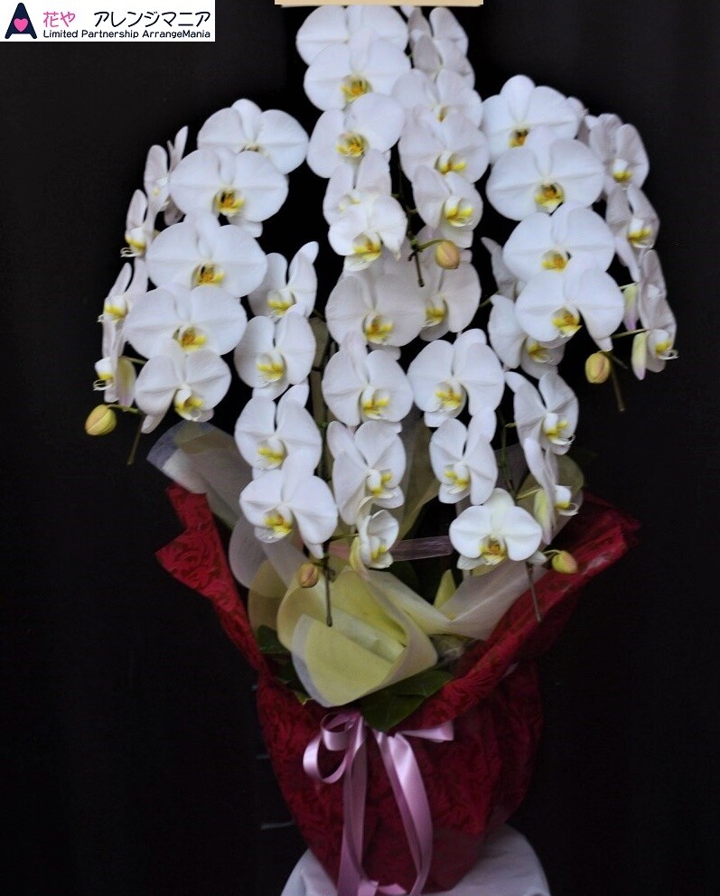 トラックなどの移動スーパーが宜野湾市などでもはじまるってよ 開店祝いに沖縄の花屋アレンジマニア トラックなどの移動スーパーが宜野湾市などでもはじまるってよ 開店祝いに沖縄の花屋アレンジマニア