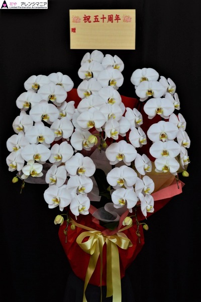 胡蝶蘭5本立ち 沖県の花屋