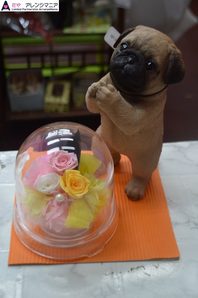 沖縄プリザーブドフラワー花屋アレンジマニア・開店