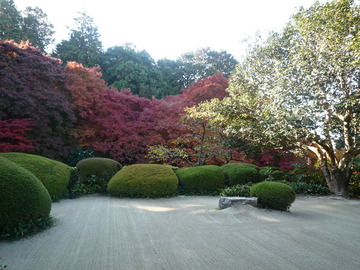 P1000367