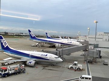 IMG_4805