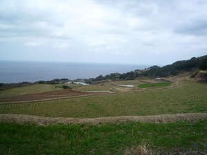 P1030281