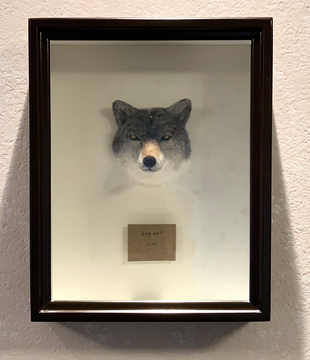 オオカミ
