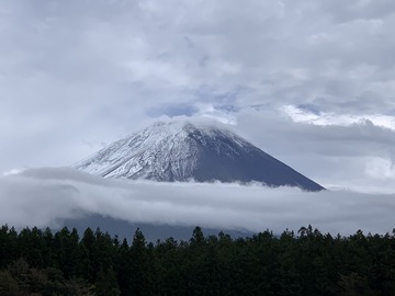 IMG_4936
