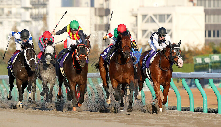 第21回 チャンピオンズカップ データ分析 予想 天花繚乱 第21回 チャンピオンズカップ データ分析 予想 天花繚乱