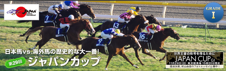 第29回ジャパンカップ データ分析 天花繚乱 第29回ジャパンカップ データ分析 天花繚乱