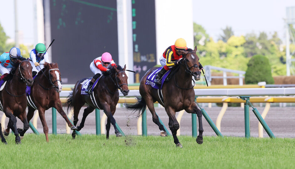 第71回 安田記念 データ分析 予想 天花繚乱