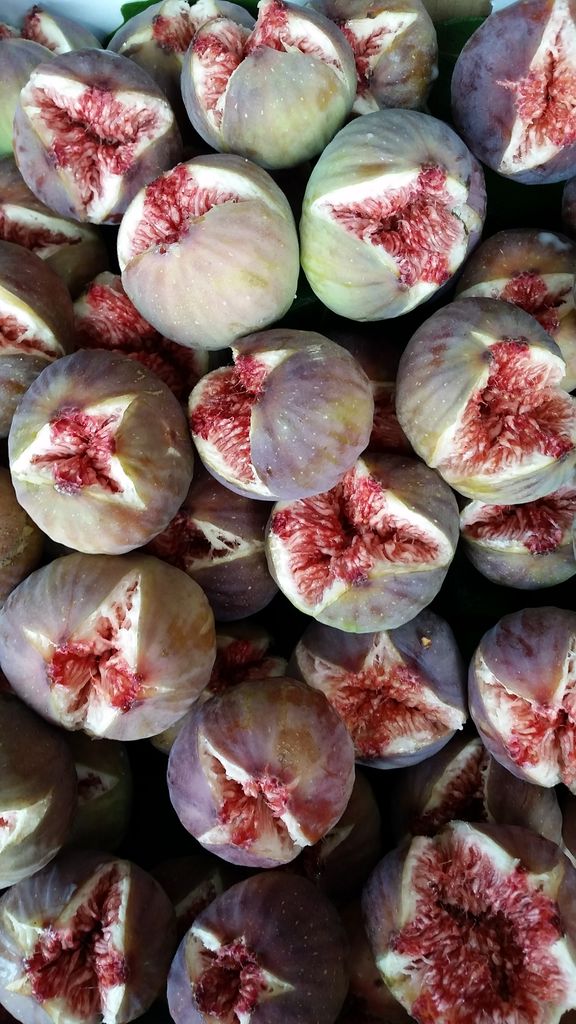 イチジク いつまであるかな 減農薬野菜 果物 お花 こだわりのうつわのお店 花うつわ大地 花咲農園