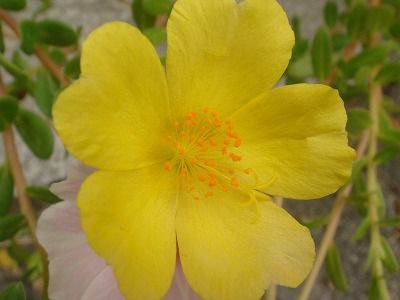 DSC00104