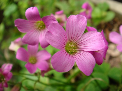 06732d79.jpg