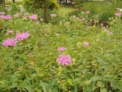 DSC00150