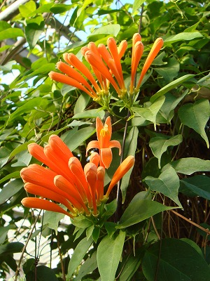 44f7d558.jpg