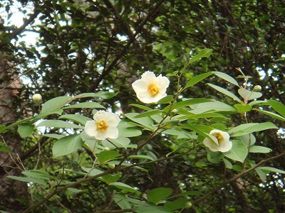 6ab19204.jpg