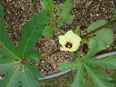 7b28831e.jpg