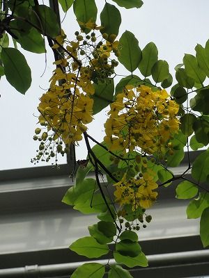 DSC03066