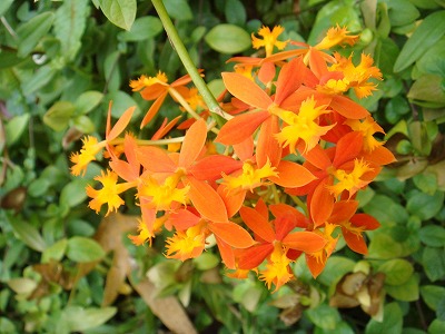 9a324421.jpg