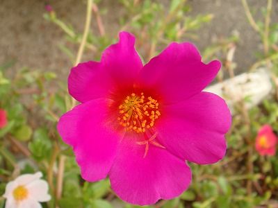 DSC00102