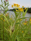 f51d7814.jpg