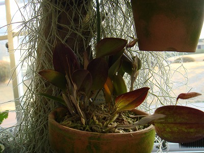f605258f.jpg