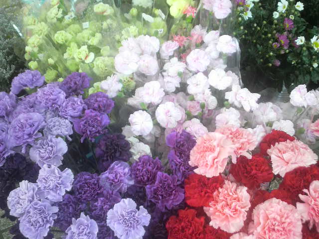 桑名市の花屋 花清 2014年母の日情報no2 三重県桑名市の花屋 花清だより 桑名市の花屋 花清 2014年母の日情報no2 三重県桑名市の花屋 花清だより
