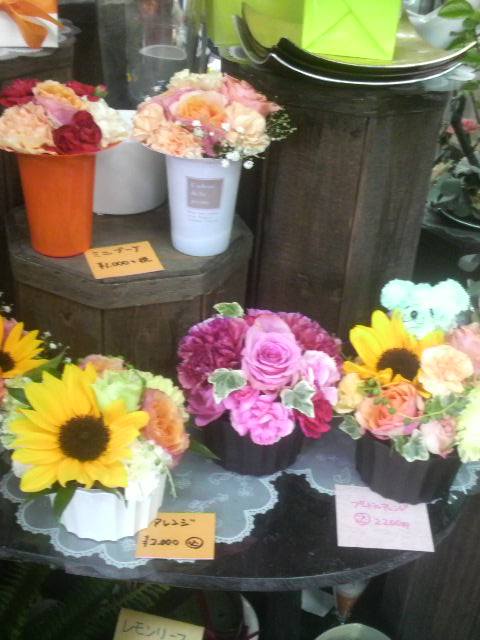 桑名市の花屋 花清 ２０１４年母の日情報no２ 三重県桑名市の花屋 花清だより