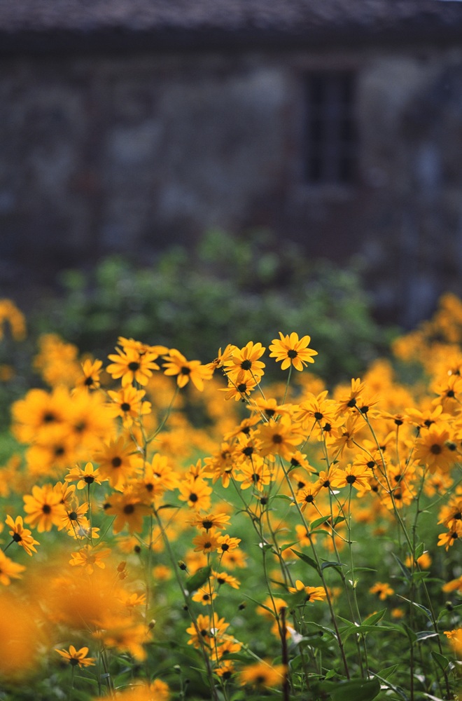 よく使う動詞 ロシア語単語教室 ロシア語単語教室