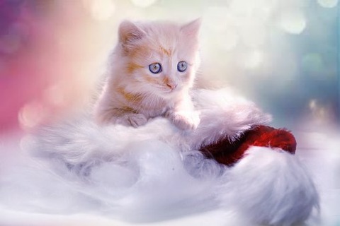 kawaii
