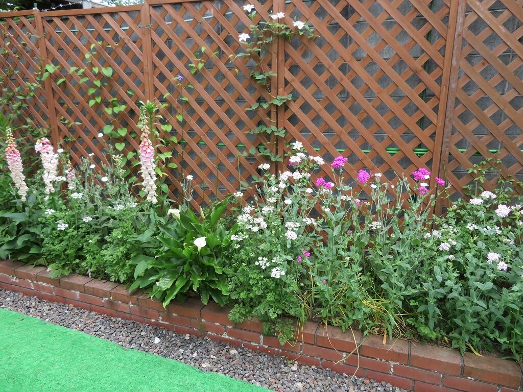 クレマチス フルディーンと華川 やすらぎの庭