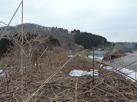 廃墟8