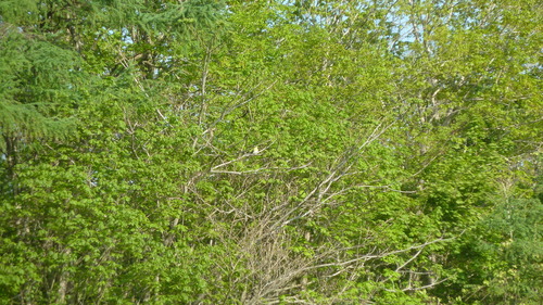 P1140318