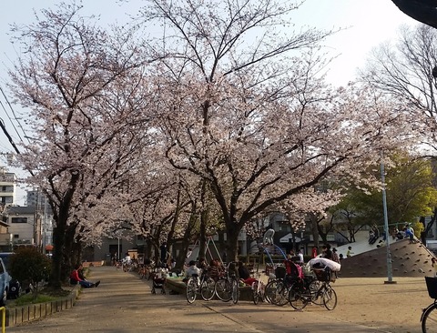 20190406_hanaten_1