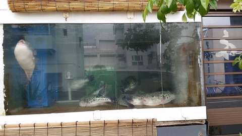fuguyoshi