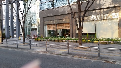 m20160331_173801
