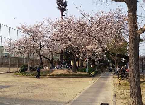 20190406_imazu_2