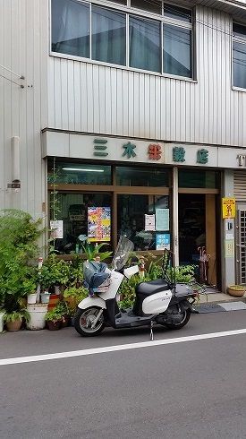 yh3