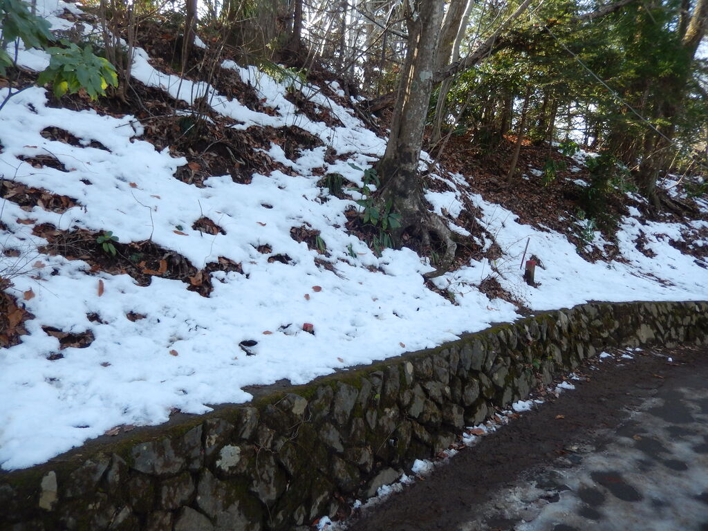 高尾山クリスマス登山 本日も佳きお日和