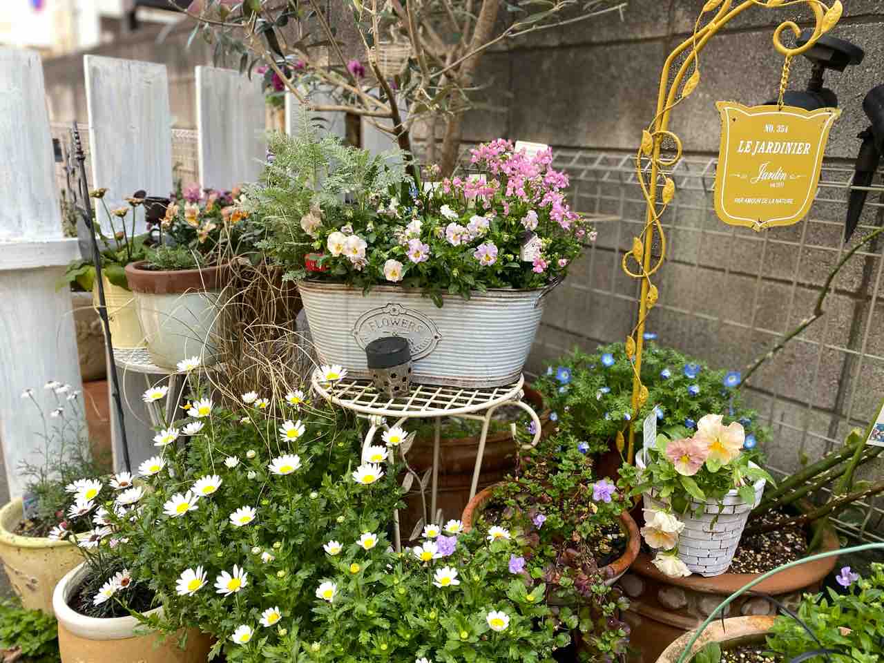 クリスティアーナ はなtokidokiねこ 半日陰の気まぐれdiyガーデン