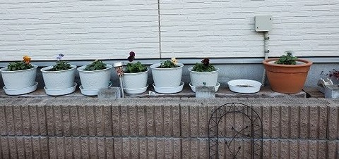 長いテラコッタ花壇もあるお庭 根っこの花工房 花つむりです