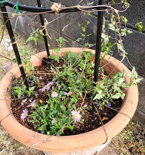 長いテラコッタ花壇もあるお庭 根っこの花工房 花つむりです