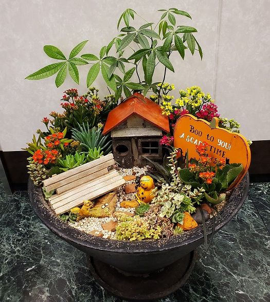 多肉でハロウィンの寄せ植え 根っこの花工房 花つむりです 多肉でハロウィンの寄せ植え 根っこの花工房 花つむりです