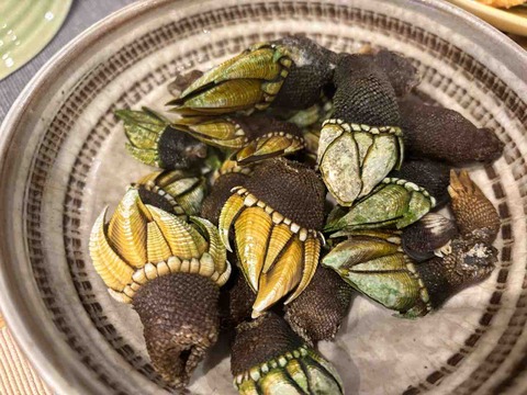 CB1DDB0C-E2B6-4C07-BED0-961A950854F8