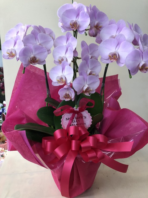 6309BB45-CA50-49CF-A2E8-60B11B7C0AF4