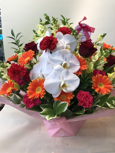 9FE4D34F-E339-45F0-A1FA-8FFCC9BFA973