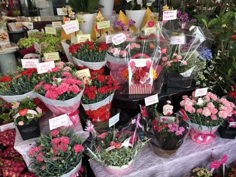 18C9765F-8D31-48C5-873C-474ADDE22D00