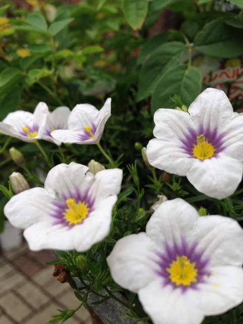 2014-06-30-17-03-44