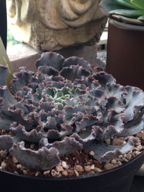 2016-09-26-09-56-16