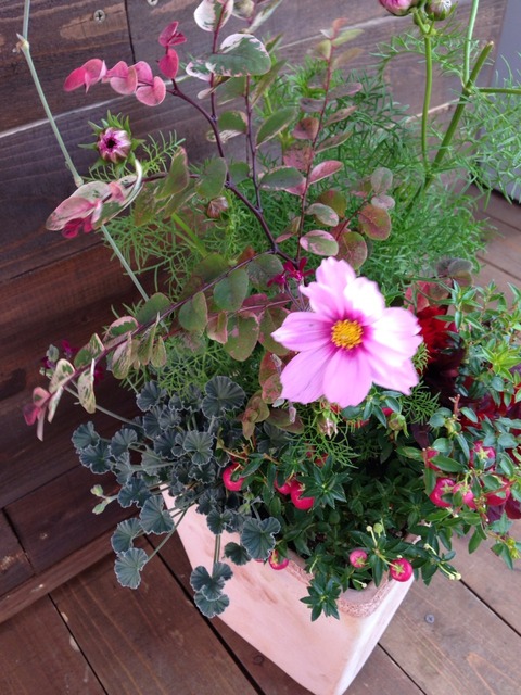 2014-09-28-14-55-22