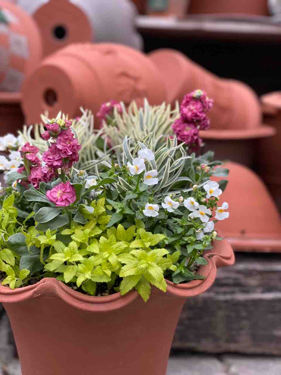 声を大にして言いたい チップ マリーへ ようこそ