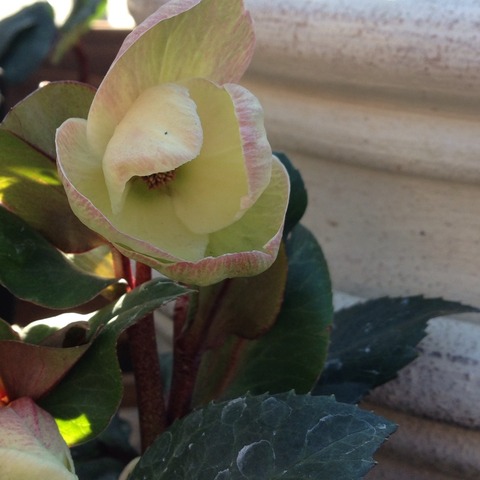 2015-01-24-13-57-12